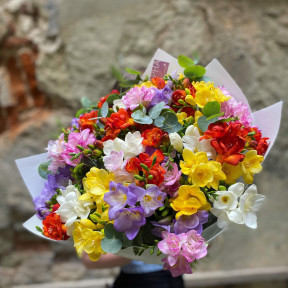 Bouquet of 51 freesias «Colorful sea of freesias»