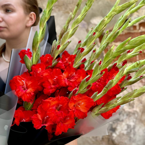 13 gladioli in a bouquet «Fiery arrows»
