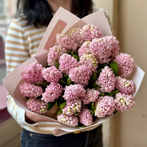 25 гіацинтів у букеті «Полуничне морозиво»