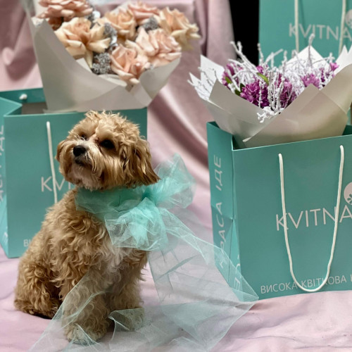 Бузковий букет із 11 гіацинтів «Засніжений ранок»