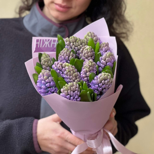 Букет із 13 бузкових гіацинтів «Весняні аромати»