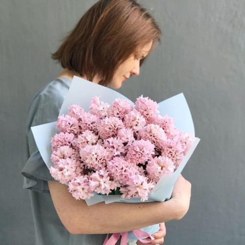 25 pink hyacinths