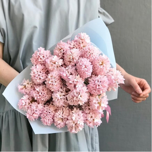 25 pink hyacinths