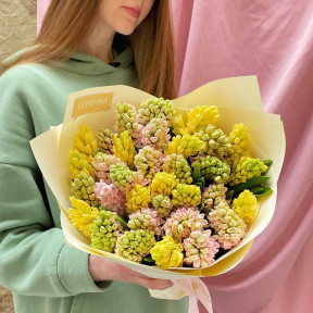 33 гіацинти у букеті «Сонечко»