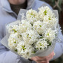 Ароматний букет з 11 гіацинтів «Солодкий аромат весни»