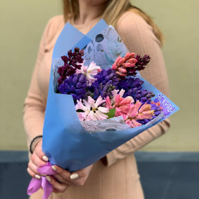 Мікс кольорових гіацинтів «Запашний привіт»