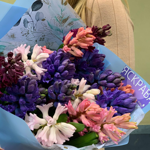 Мікс кольорових гіацинтів «Запашний привіт»