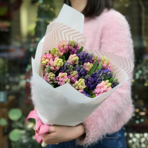 Мікс з 25 гіацинтів