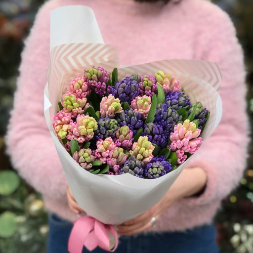Mix of 25 Hyacinths