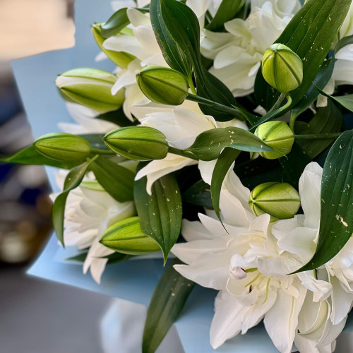Букет із 5 піоновидних лілій «Сніжні зорі»