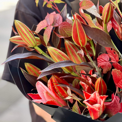 Темний букет з ексклюзивною лілією «Багряна спокуса»