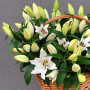 Кошик з ліліями