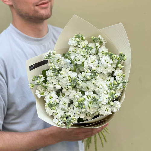 19 матіол у букеті «Білий аромат»