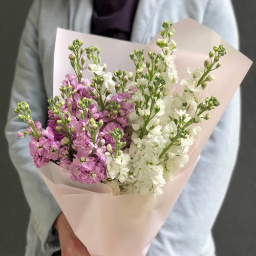 19 запашних матіол