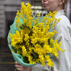 5 гілок ароматної італійської мімози у букеті «Весняне сонечко»
