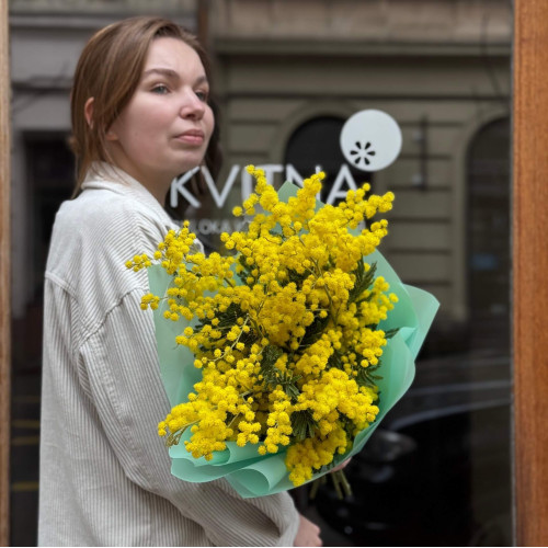 5 веток ароматной итальянской мимозы в букете «Весеннее солнышко»