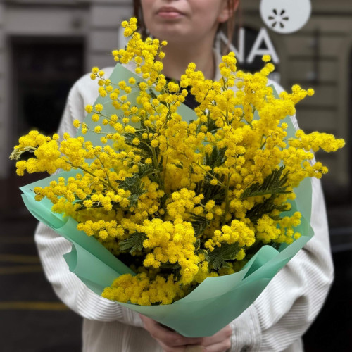 5 веток ароматной итальянской мимозы в букете «Весеннее солнышко»