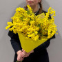 Букет із пухнастої італійської мімози «Перше сонечко»
