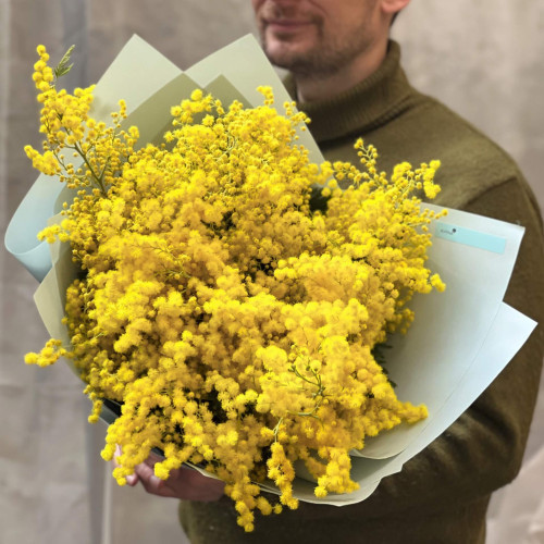 Ароматна італійська мімоза «Мамине сонечко»
