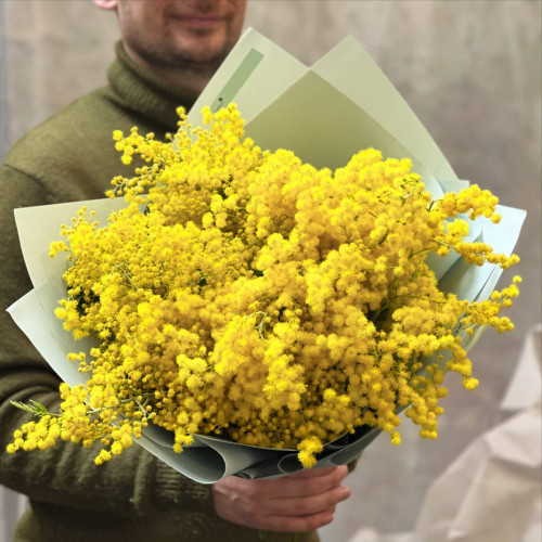 Ароматна італійська мімоза «Мамине сонечко»
