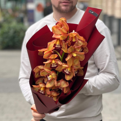 19 цимбідіумів у букеті «Карамельні метелики»