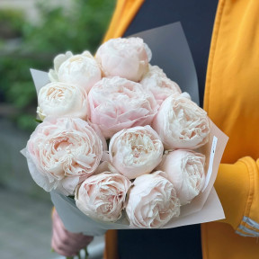 11 peonies in a bouquet «Peony Ice cream»