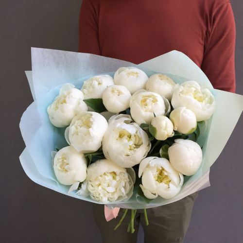 Bouquet of 15 White Peonies