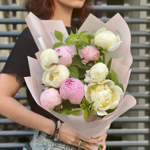 Mix of 9 peonies «Strawberry parfait»
