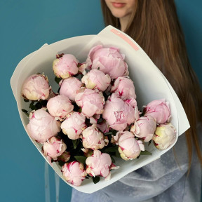 19 півоній Сара Бернар