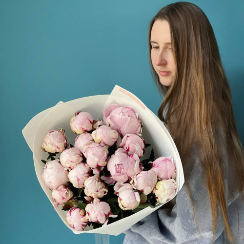 19 півоній Сара Бернар