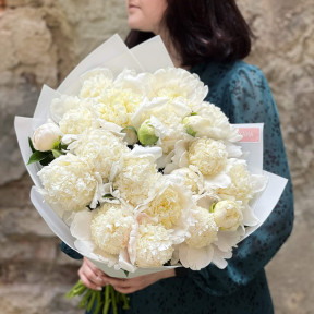 Bouquet of 21 peonies «Vanilla Ice cream»