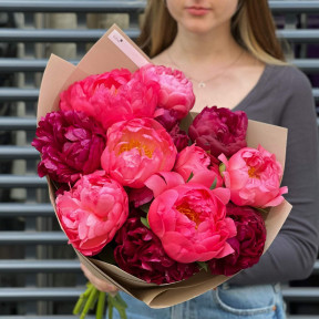 Mix of 13 peonies «Raspberry wine»
