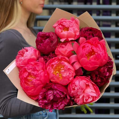 Mix of 13 peonies «Raspberry wine»