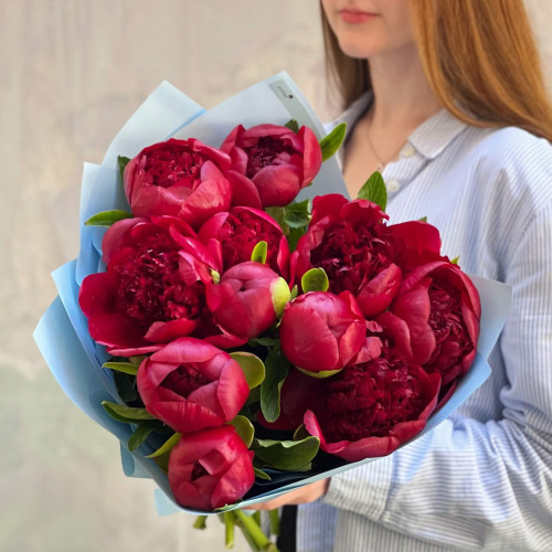 11 півоній у букеті «Королівський червоний»