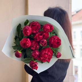 13 півоній у букеті «Винні відтінки»