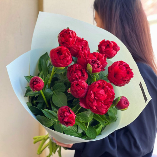 13 півоній у букеті «Винні відтінки»