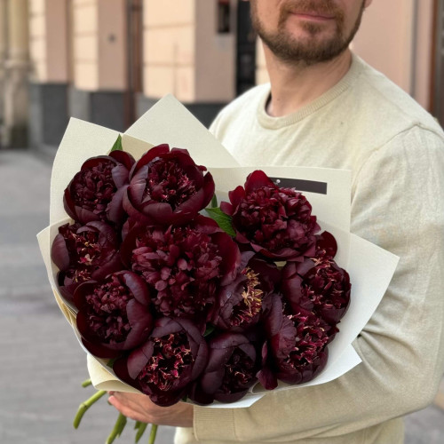Bouquet of 11 rich burgundy peonies «Cherry in chocolate»