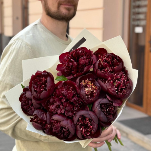 Bouquet of 11 rich burgundy peonies «Cherry in chocolate»