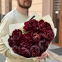 Bouquet of 11 rich burgundy peonies «Cherry in chocolate»