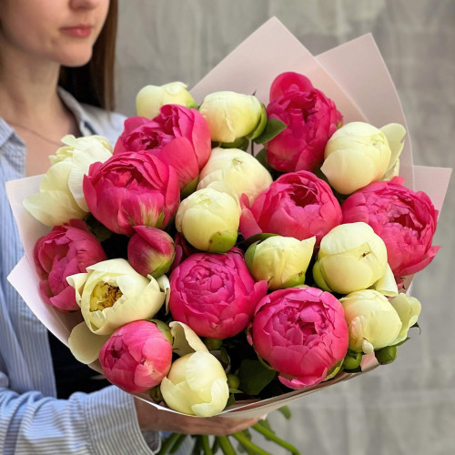 21 півонія у міксі «Коралова самба»