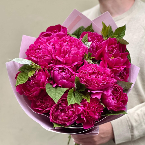 13 півоній у букеті «Малинове шаленство»