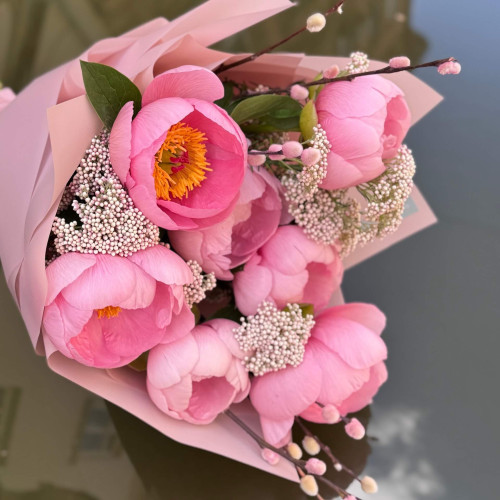 Delicate bouquet of 7 Salmon Dream pink peonies «Luxurious Necklace»