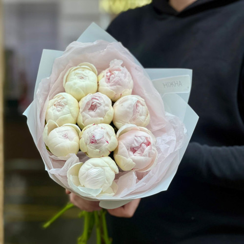9 peonies in a bouquet «Snow-white Moment»
