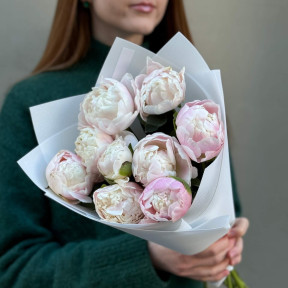 9 delicate peonies of Moon over Barrington variety in a bouquet «Peony Marshmallow»