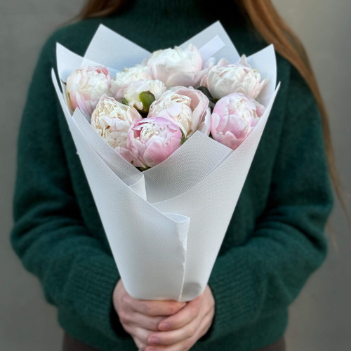 9 нежных пионов Moon over Barrington в букете «Пионовый зефир»