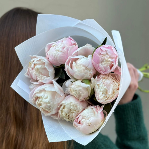 9 нежных пионов Moon over Barrington в букете «Пионовый зефир»