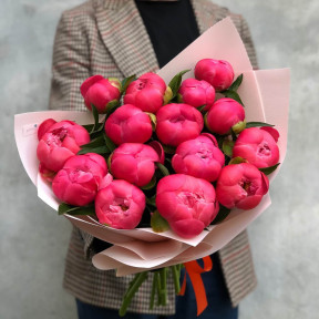 Букет з 15 коралових піонів Coral Charm