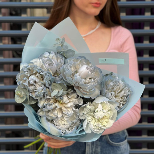 9 небесных пионов