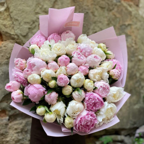 Bouquet of 51 peonies «Delicate Marshmallows»