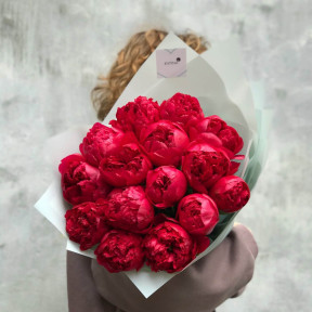 15 винних півоній